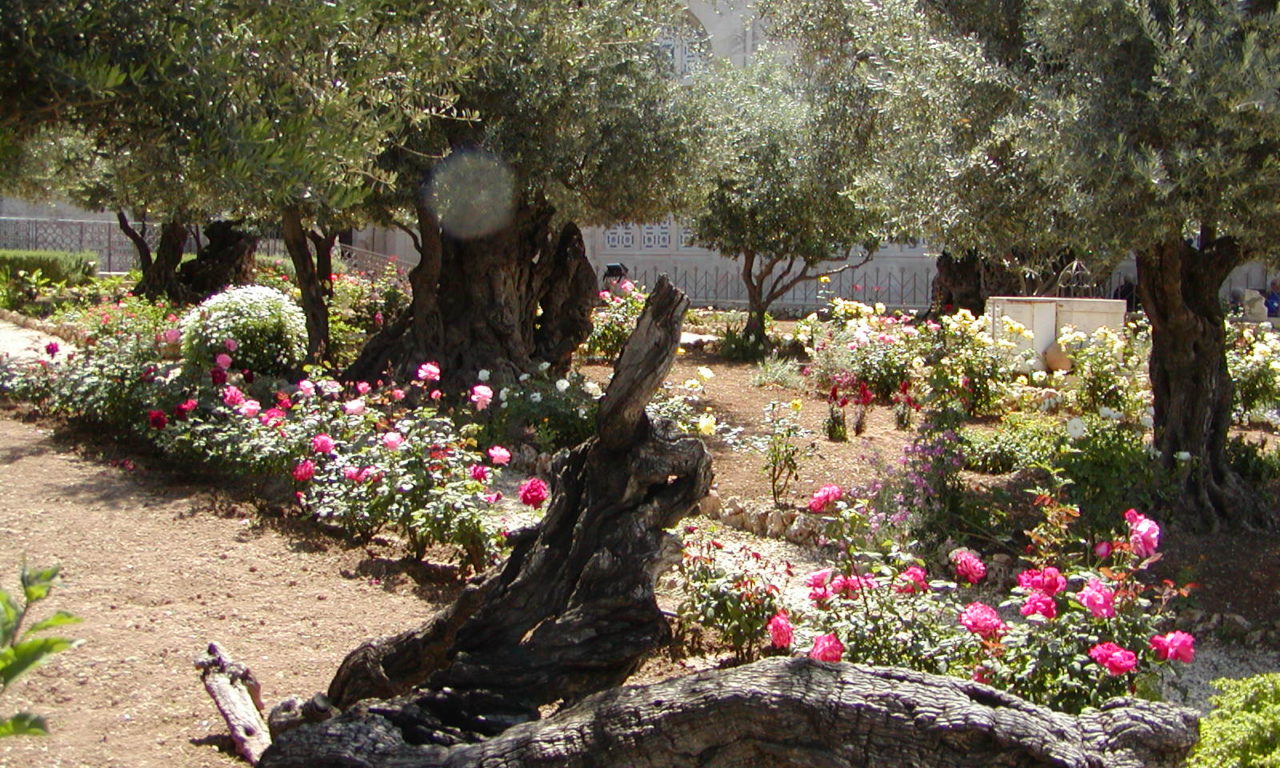 Where is the Garden of Gethsemane Israel Tours