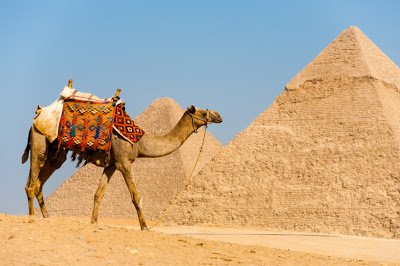 Travel the Bible Egypt Jordan Pyramids, Sphinx, Petra, Bethany Beyond