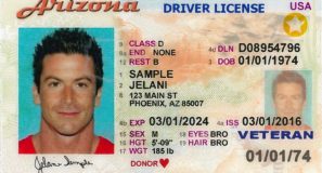 Driver's License International Travel Compliant