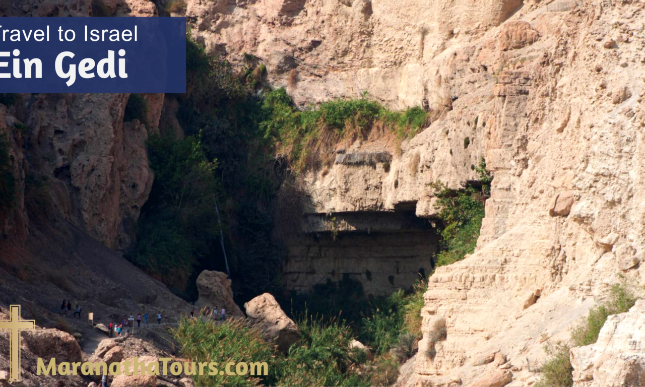 Ein Gedi Explore Israel Travel with Purpose Maranatha Tours