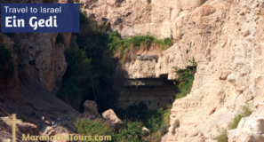 Ein Gedi Explore Israel Travel with Purpose Maranatha Tours