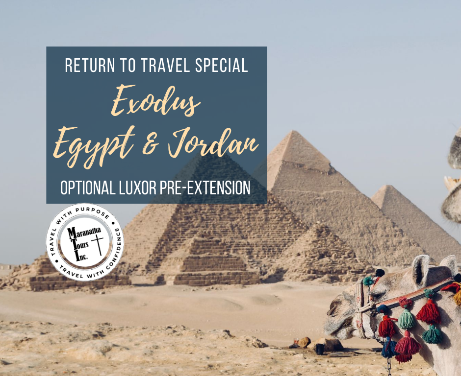 Egypt & Jordan Tour Space Now Open November 2022 Travel Special